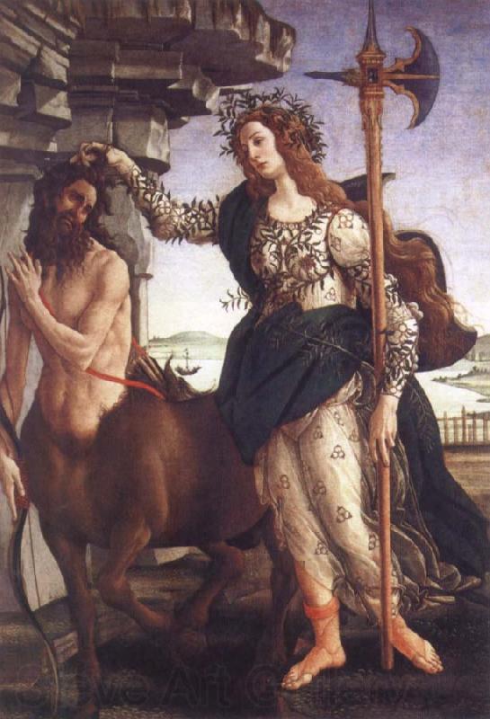 Sandro Botticelli Pallas and the Centaure Germany oil painting art